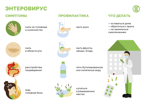 Профилактика ЭВИ